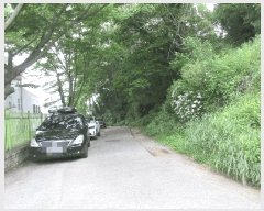  2025Ÿ21255 泲 뿵 õ 889       (Ӿ)