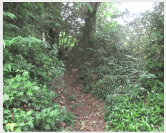  2025Ÿ21255 泲 뿵 õ 889       (Ӿ)