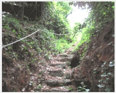  2025Ÿ21255 泲 뿵 õ 889       (Ӿ)