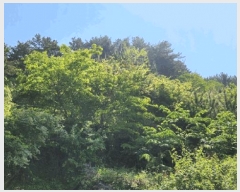  2025Ÿ��21287 �泲 �뿵�� �ѻ�� �ϼҸ� 540-2      ����(��1)���