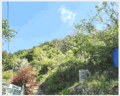  2025Ÿ��21287 �泲 �뿵�� �ѻ�� �ϼҸ� 540-2      ����(��1)���