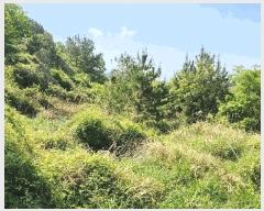  2025Ÿ��21287 �泲 �뿵�� �ѻ�� �ϼҸ� 540-2      ����(��1)���