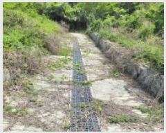  2025Ÿ��21287 �泲 �뿵�� �ѻ�� �ϼҸ� 540-2      ����(��1)���