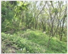  2025Ÿ��21287 �泲 �뿵�� �ѻ�� �ϼҸ� 540-2      ����(��1)���