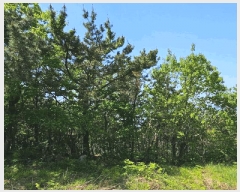  2025Ÿ��21304 �泲 �뿵�� �緮�� ������ 619-2      ����(�Ӿ�)���