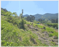  2025Ÿ��21304 �泲 �뿵�� �緮�� ������ 619-2      ����(�Ӿ�)���