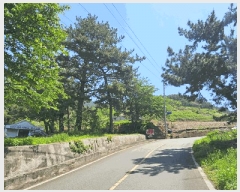  2025Ÿ��21304 �泲 �뿵�� �緮�� ������ 619-2      ����(�Ӿ�)���