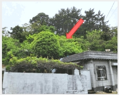  2025Ÿ��21362 �泲 �뿵�� ����� ����� 524-6      ��,�繫�ǰ��