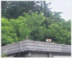  2025Ÿ��21362 �泲 �뿵�� ����� ����� 524-6      ��,�繫�ǰ��