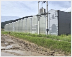  2025Ÿ��21370  â�����