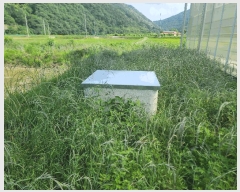  2025Ÿ��21370  â�����