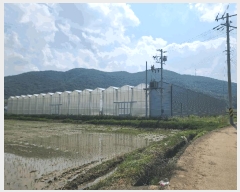  2025Ÿ��21370  â�����