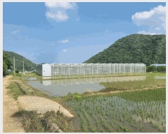  2025Ÿ��21370  â�����