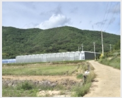  2025Ÿ��21370  â�����