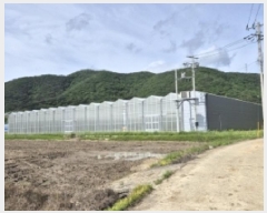  2025Ÿ��21370  â�����