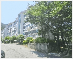  2025Ÿ��21425 �泲 ������ ������ 540 �Ｚ���������� 109�� 4��404ȣ    �ټ���,������