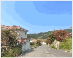  2025Ÿ��21440 �泲 ������ ���� �� 445-50      ���ð��