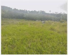  2025Ÿ��21456  ����