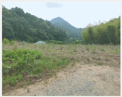  2025Ÿ��21456  ����