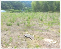  2025Ÿ��21456  ����