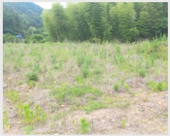  2025Ÿ��21456  ����