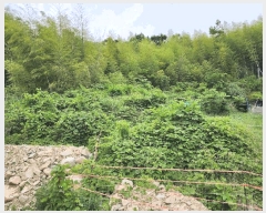  2025Ÿ��21464  �����