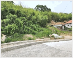  2025Ÿ��21464  �����