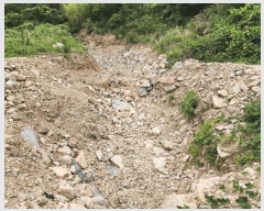  2025Ÿ��21464  �����