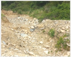  2025Ÿ��21464  �����