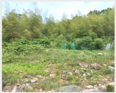  2025Ÿ��21464  �����