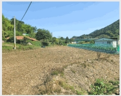  2025Ÿ��21497 �泲 ������ ���ʸ� ������ 434-1      ����(��)���