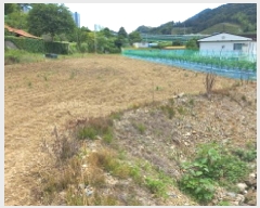  2025Ÿ��21497 �泲 ������ ���ʸ� ������ 434-1      ����(��)���