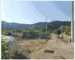  2025Ÿ��21513  ����