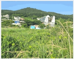  2025Ÿ��21513  ����