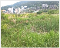  2025Ÿ��21513  ����