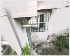  2025Ÿ��21521  ���ð��