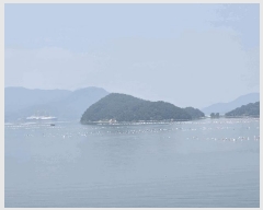  2025Ÿ��21578  ����ǰ��