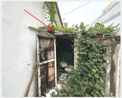  2025Ÿ��21618  ���ð��