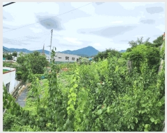  2025Ÿ��21626 �泲 �뿵�� ��õ�� 894       ����(�Ӿ�)���