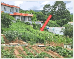  2025Ÿ��21626 �泲 �뿵�� ��õ�� 894       ����(�Ӿ�)���