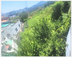  2025Ÿ��21626 �泲 �뿵�� ��õ�� 894       ����(�Ӿ�)���