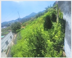  2025Ÿ��21626 �泲 �뿵�� ��õ�� 894       ����(�Ӿ�)���