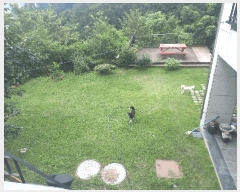  2025Ÿ��21700  ���ð��