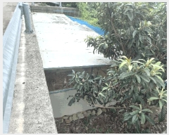  2025Ÿ��21700  ���ð��