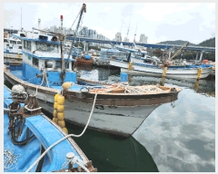  2025Ÿ21708           ڰ