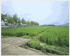  2025Ÿ��21724  ����