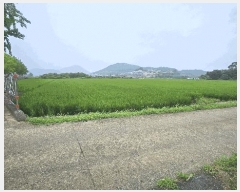  2025Ÿ��21724  ����