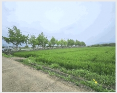  2025Ÿ��21724  ����