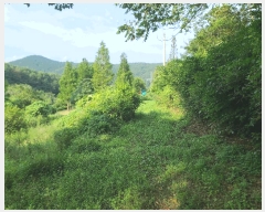  2025Ÿ��21748 �泲 �뿵�� ������ �׸��� 1219      ����(��)���