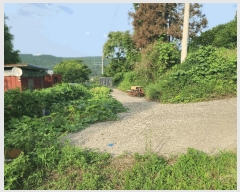  2025Ÿ��21748 �泲 �뿵�� ������ �׸��� 1219      ����(��)���